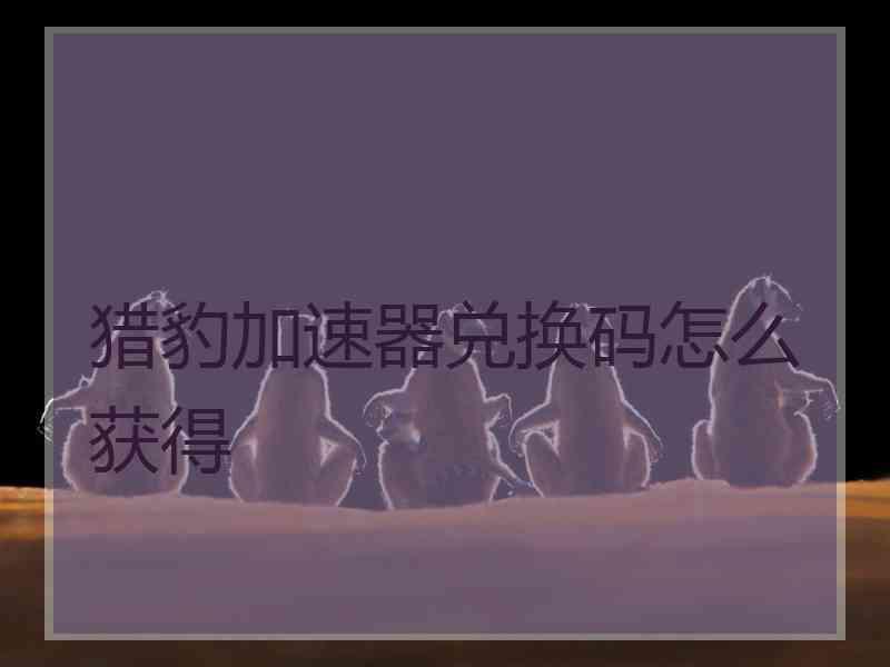 猎豹加速器兑换码怎么获得