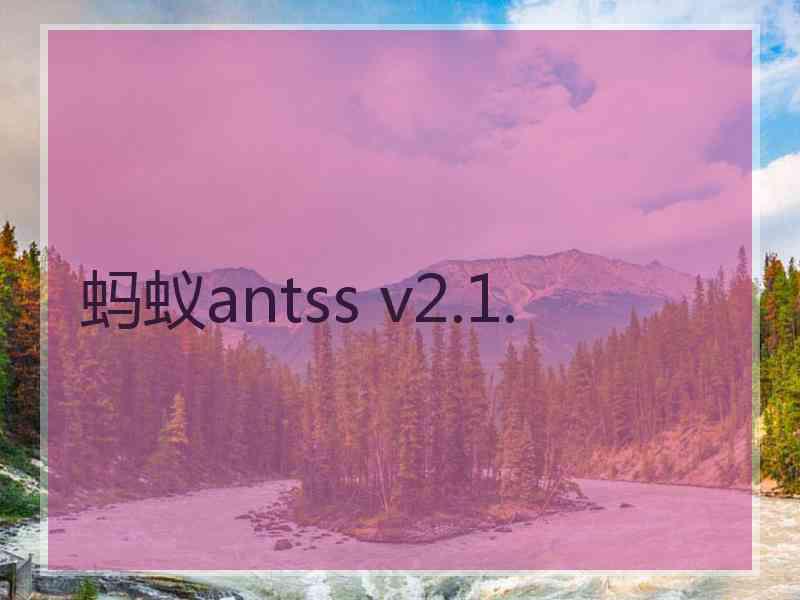 蚂蚁antss v2.1.
