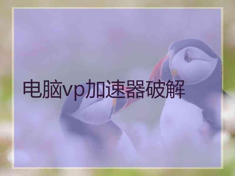 电脑vp加速器破解