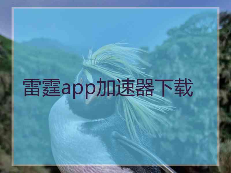 雷霆app加速器下载