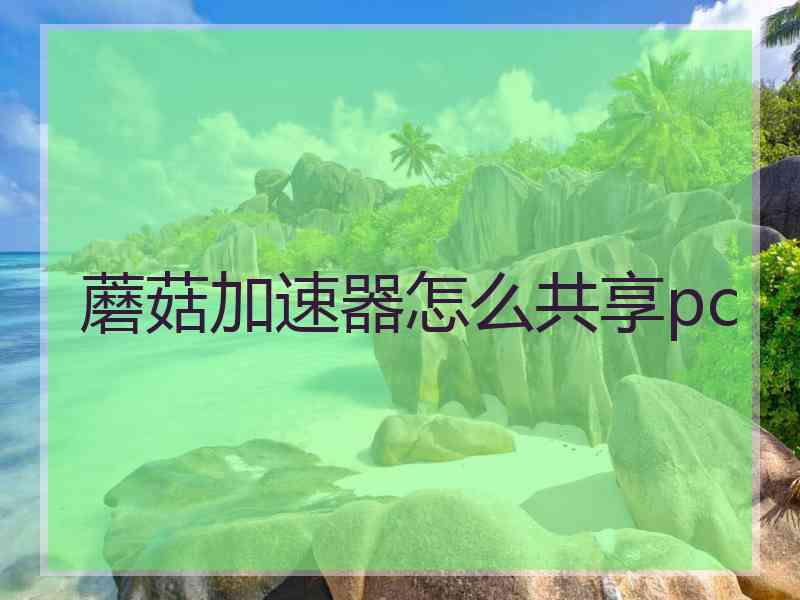 蘑菇加速器怎么共享pc