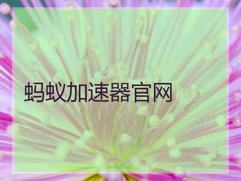 蚂蚁加速器官网