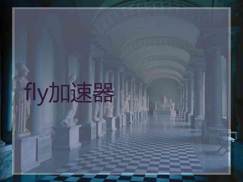 fly加速器
