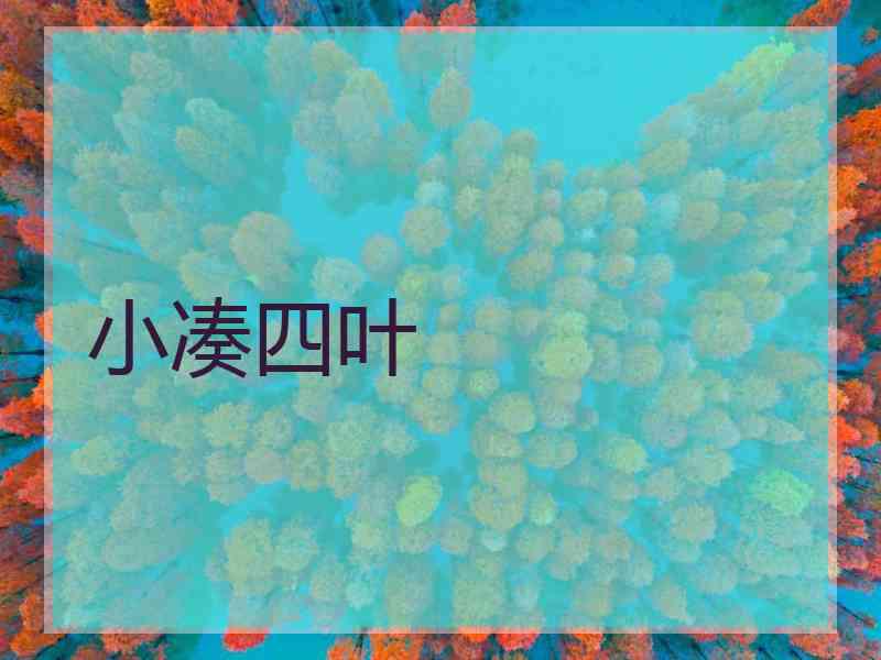 小凑四叶