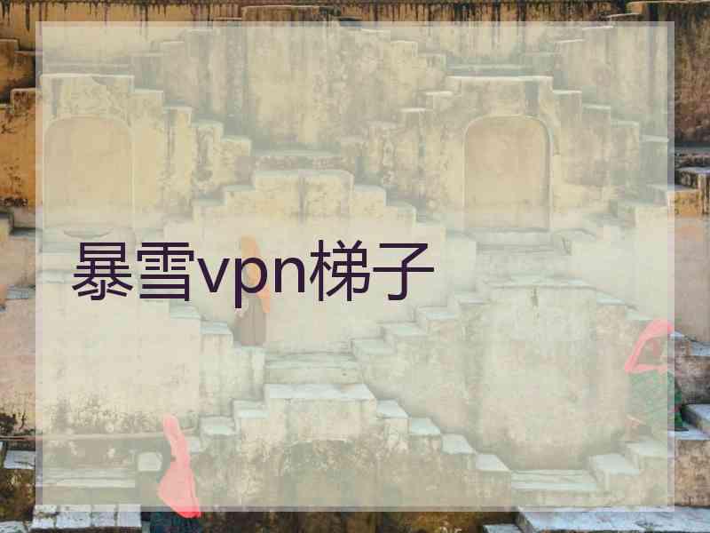 暴雪vpn梯子