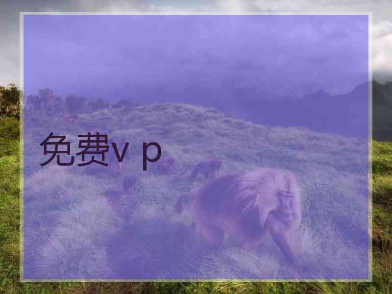 免费v p