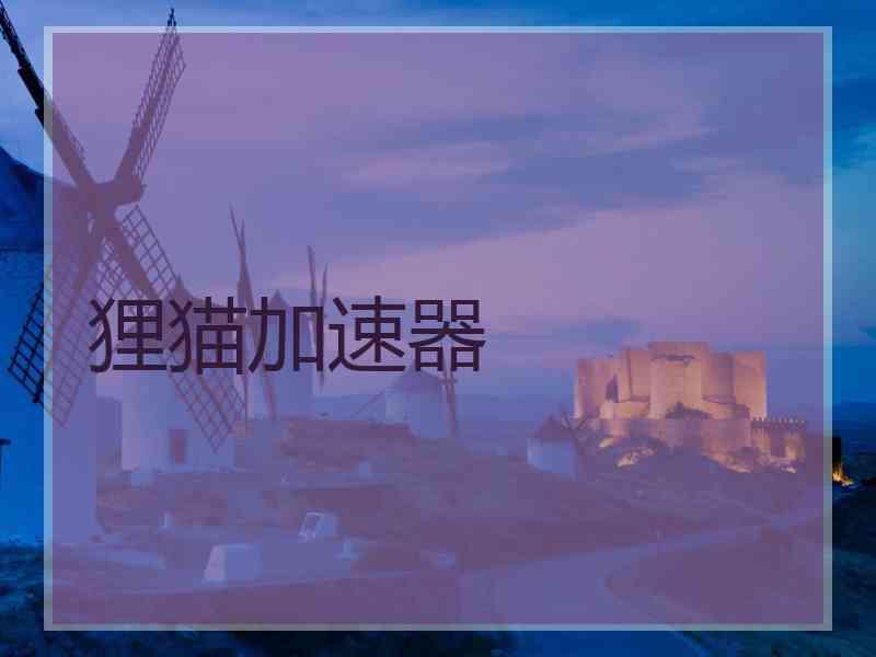 狸猫加速器