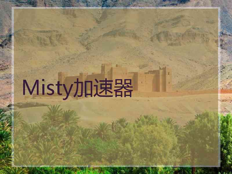 Misty加速器