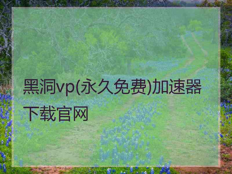 黑洞vp(永久免费)加速器下载官网