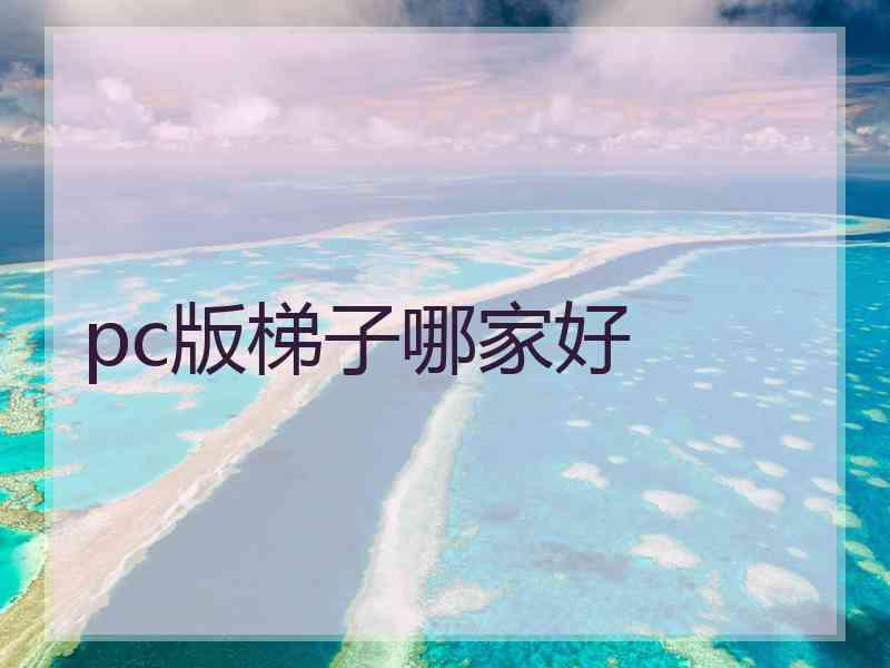pc版梯子哪家好