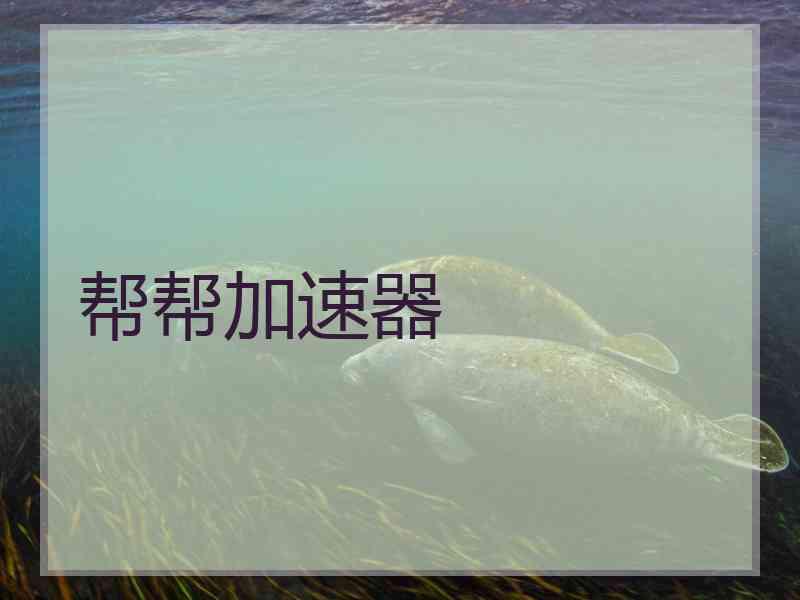 帮帮加速器
