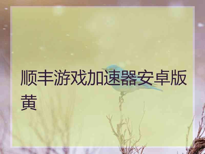 顺丰游戏加速器安卓版黄