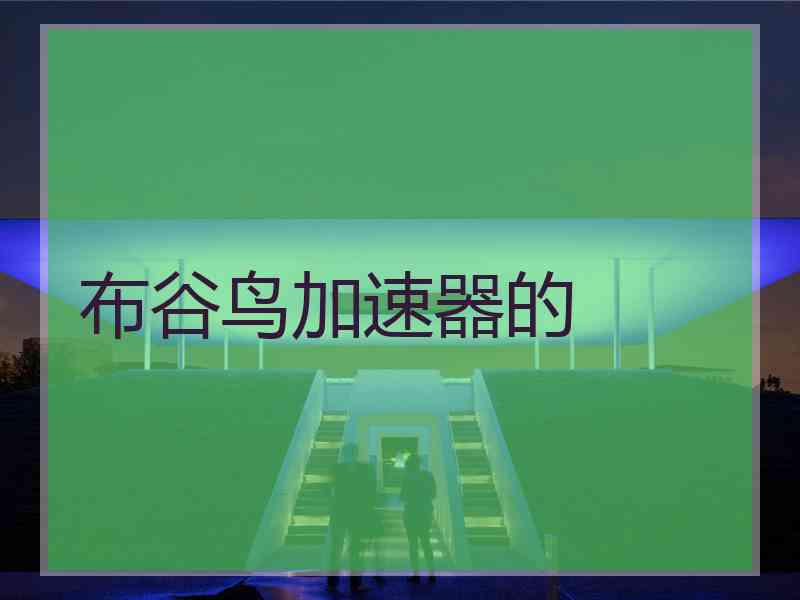 布谷鸟加速器的