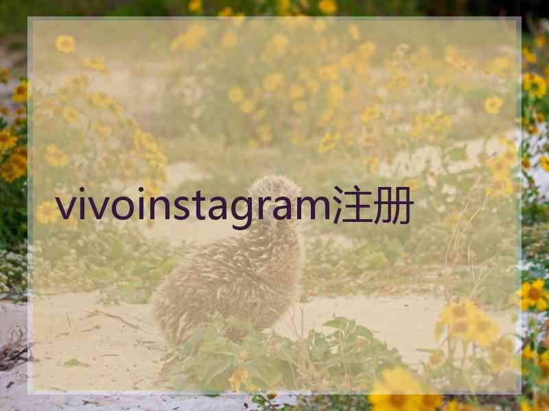 vivoinstagram注册