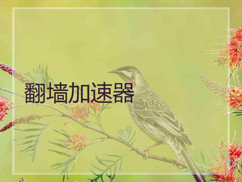 翻墙加速器