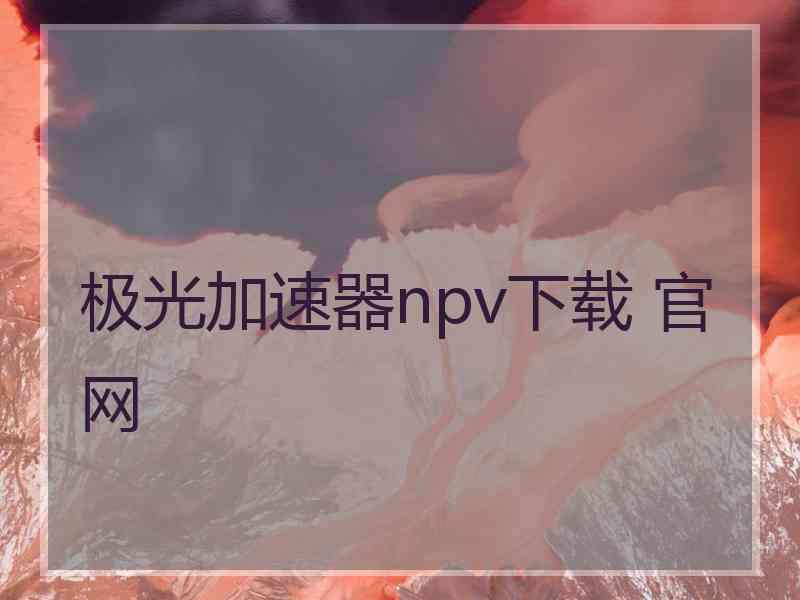 极光加速器npv下载 官网