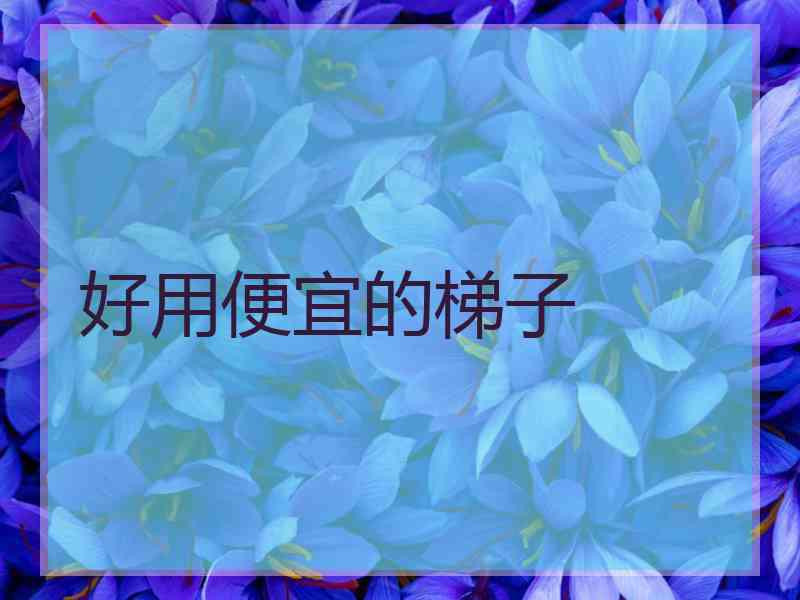 好用便宜的梯子