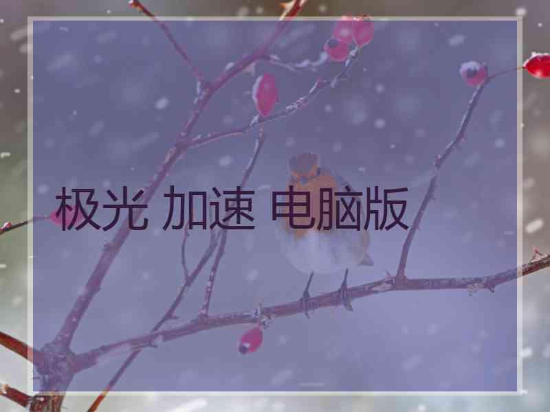 极光 加速 电脑版