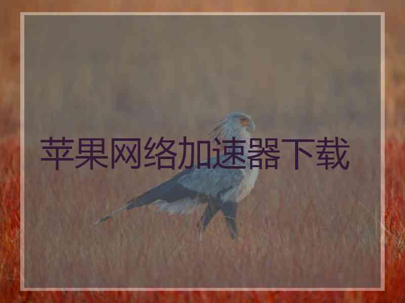 苹果网络加速器下载