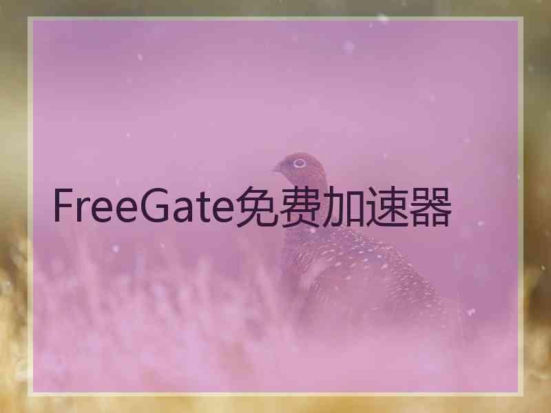 FreeGate免费加速器