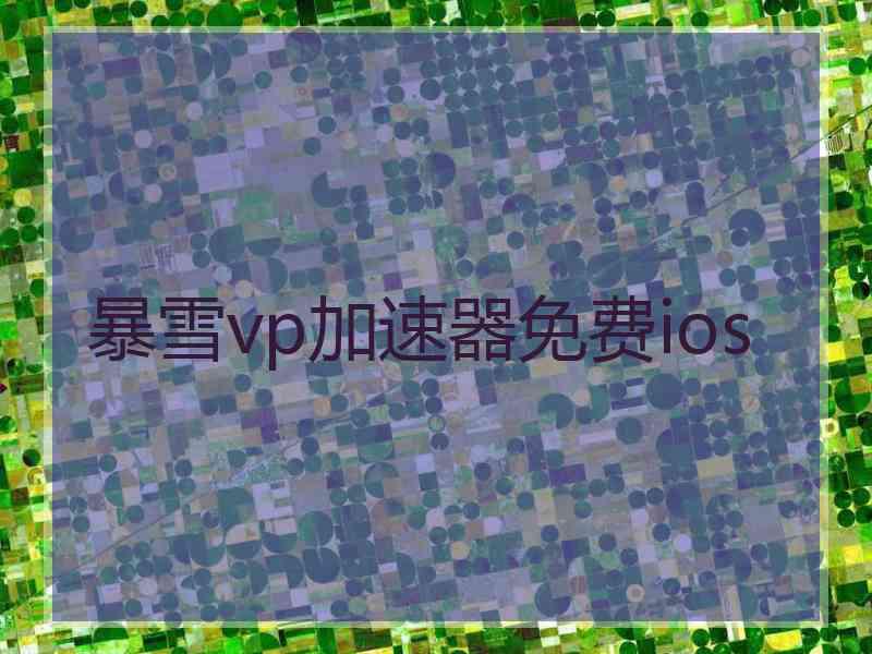 暴雪vp加速器免费ios
