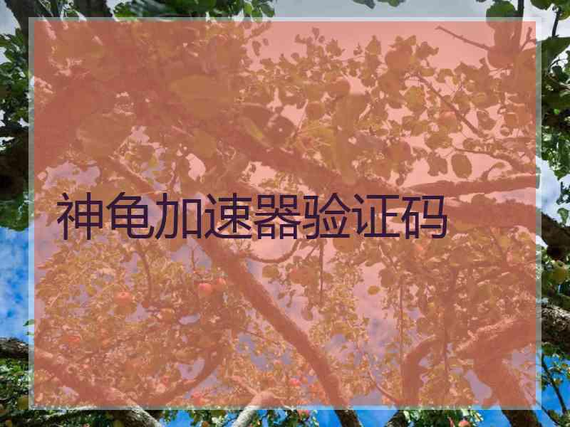 神龟加速器验证码