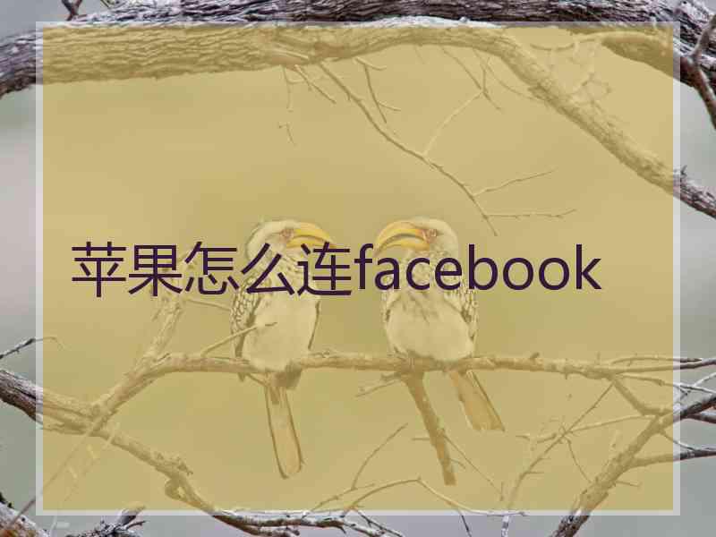 苹果怎么连facebook