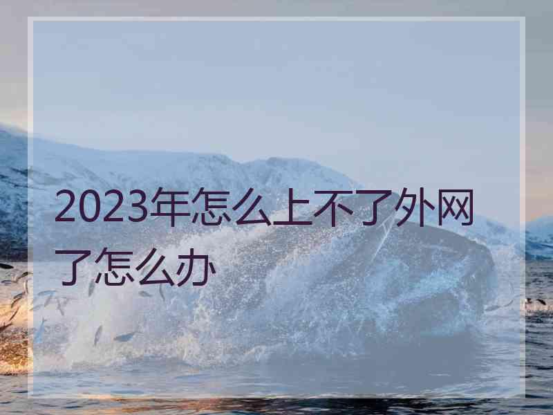 2023年怎么上不了外网了怎么办