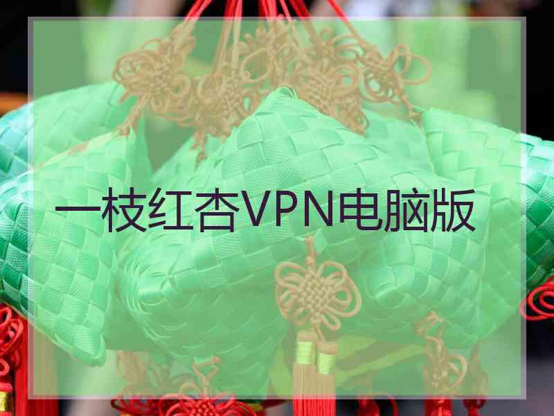 一枝红杏VPN电脑版