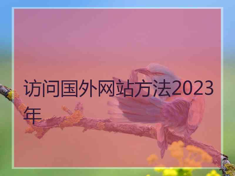 访问国外网站方法2023年