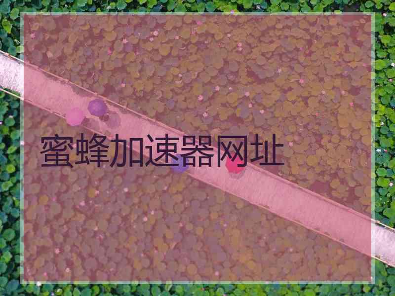 蜜蜂加速器网址