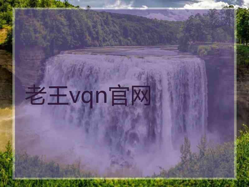 老王vqn官网