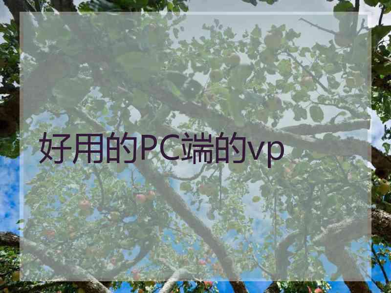 好用的PC端的vp