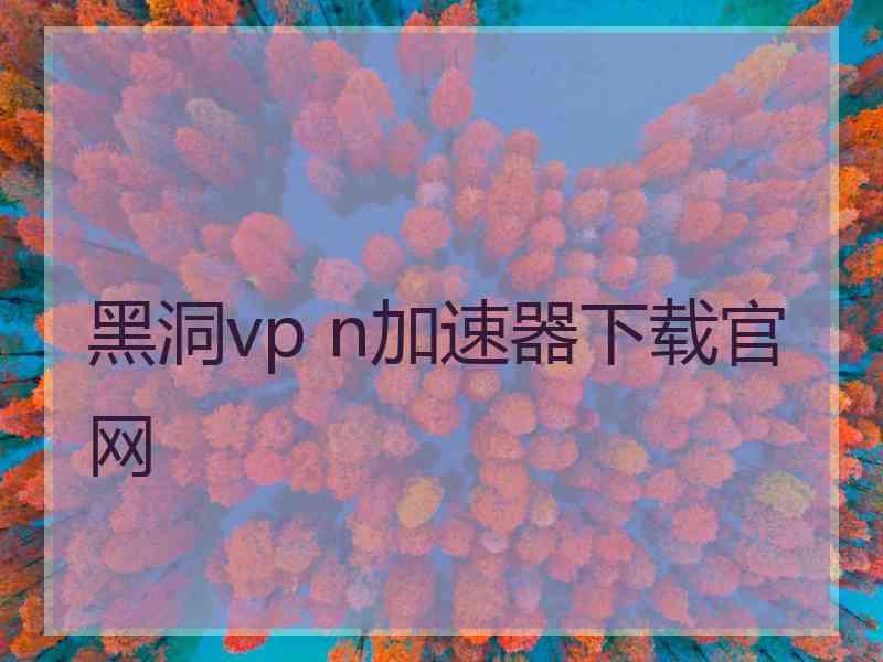 黑洞vp n加速器下载官网