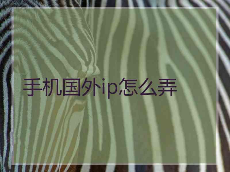 手机国外ip怎么弄