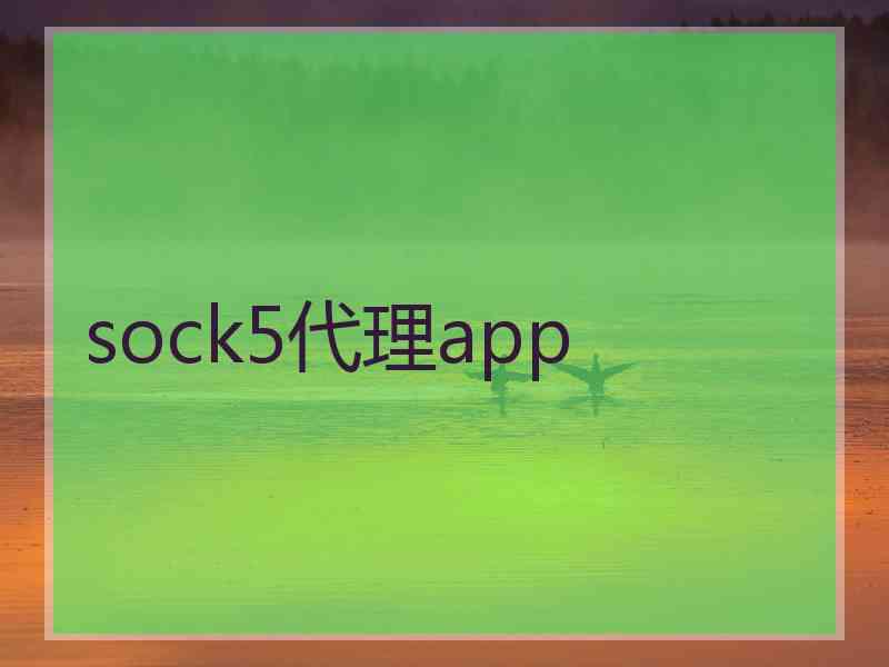 sock5代理app