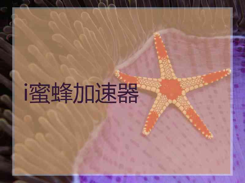 i蜜蜂加速器
