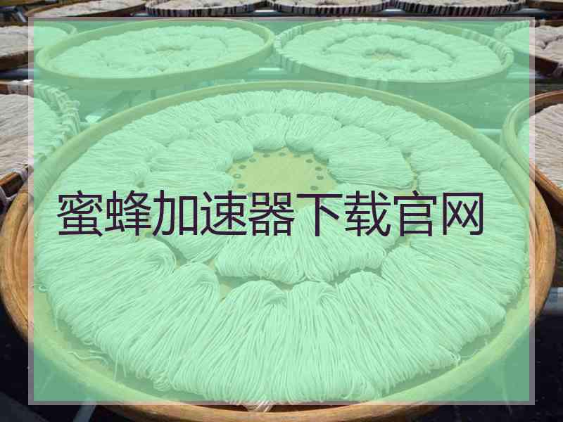 蜜蜂加速器下载官网