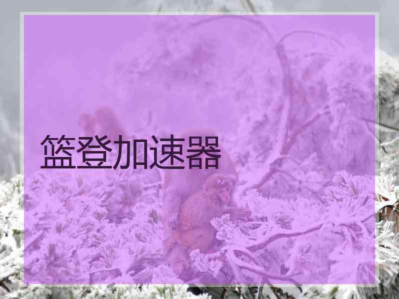 篮登加速器