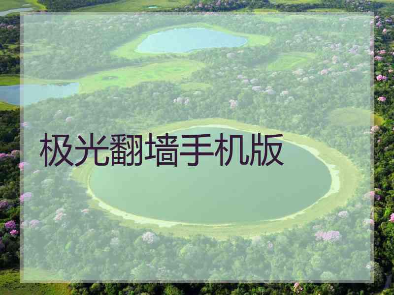 极光翻墙手机版