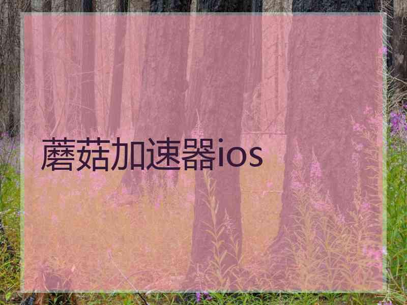 蘑菇加速器ios