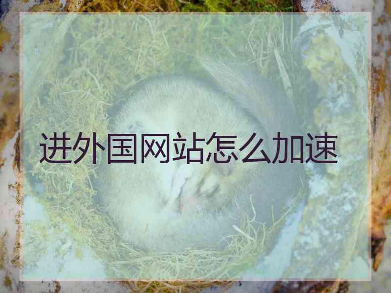 进外国网站怎么加速