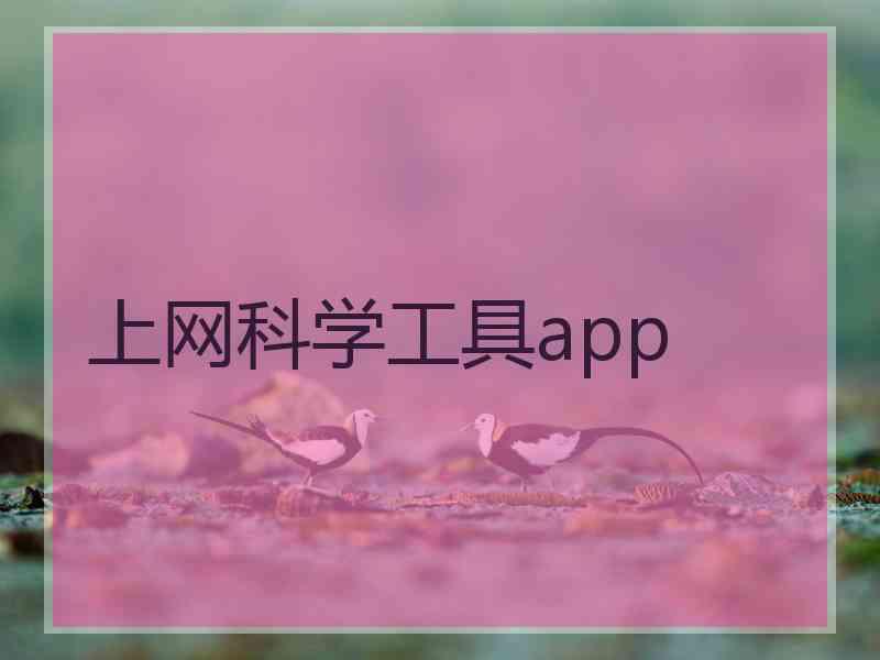 上网科学工具app