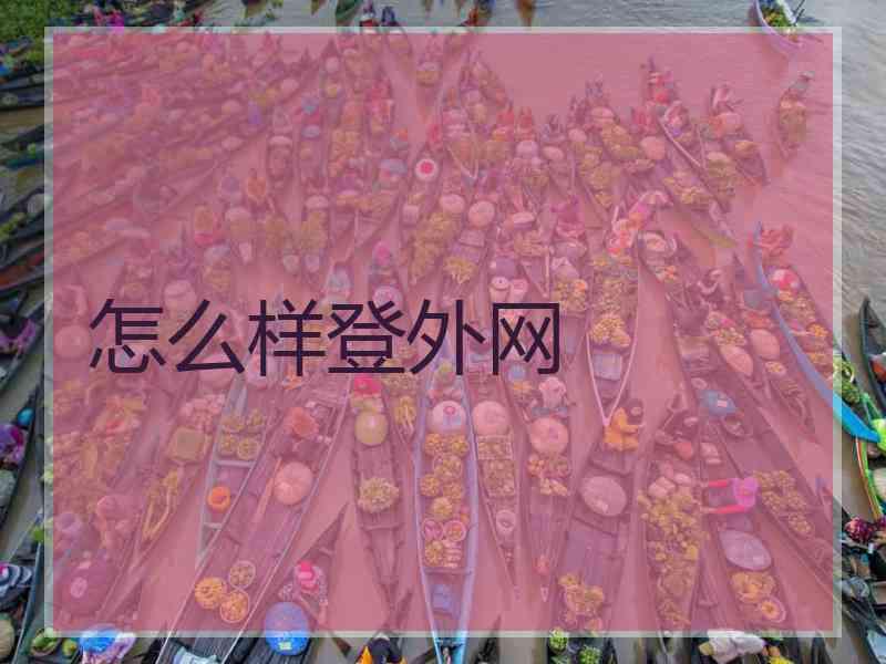 怎么样登外网