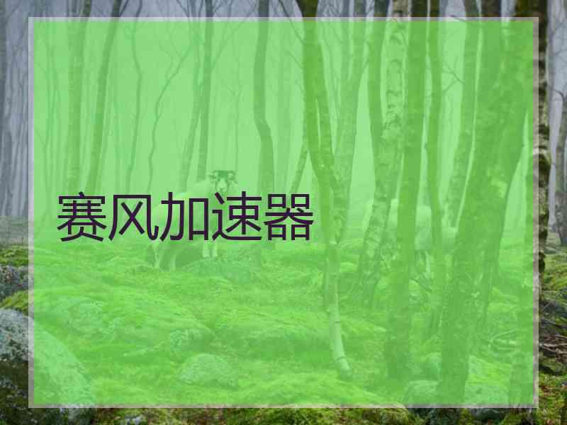 赛风加速器