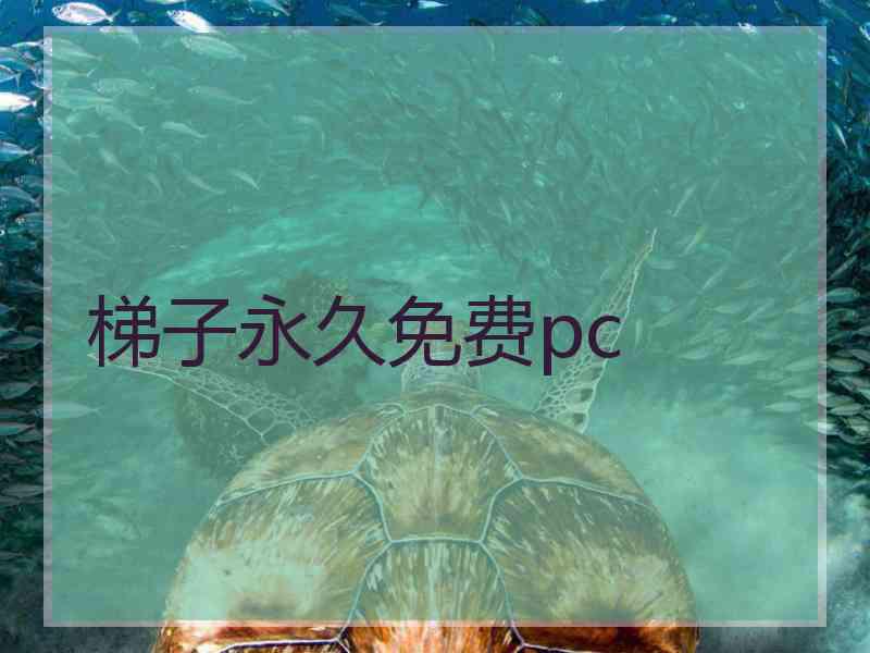 梯子永久免费pc