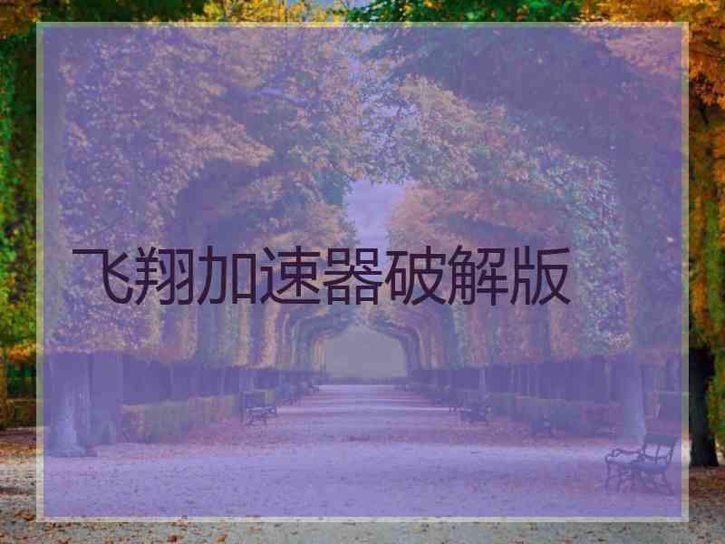 飞翔加速器破解版