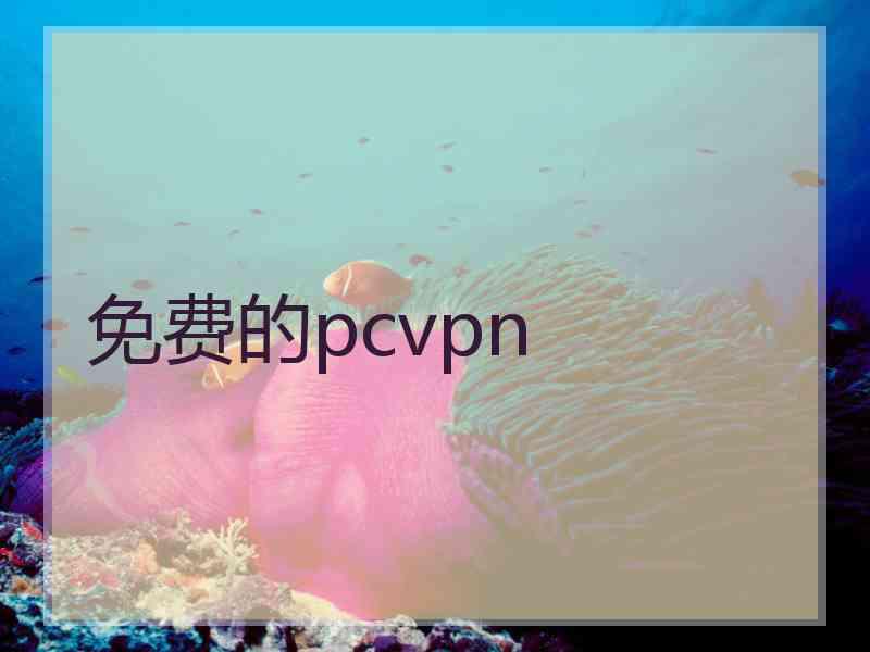 免费的pcvpn