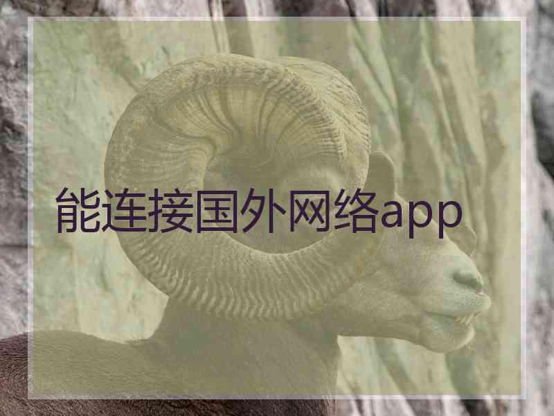能连接国外网络app