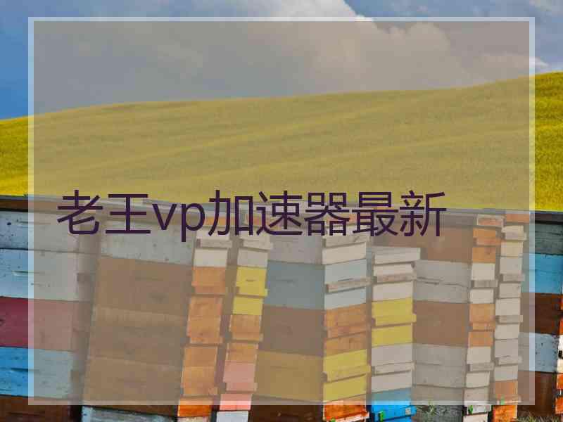 老王vp加速器最新